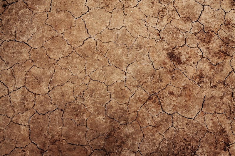 Soil Testing Image